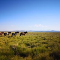 De Nuevo Estoy de&nbsp;Vuelta