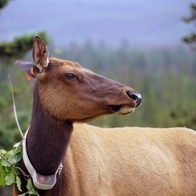 Tracking down the&nbsp;trackers